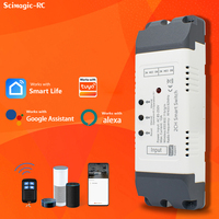 Module intelligent à 2 canaux, télécommande 433mhz, Module d'automatisation de relais universel pour porte de garage, fonctionne avec Alexa Google Home