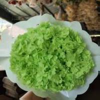 Hortensia blanchi et stabilisé de haute qualité, diamètre 17-20 cm, prix de gros, pour mariage, fête des Mères, Noël, décoration intérieure