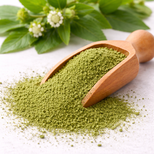 Poudre de Bhringraj, poudre d'herbes naturelles, poudre de plantes finement moulue pour les soins des cheveux, usage à base de plantes et approvisionnement en vrac - Product Image 2