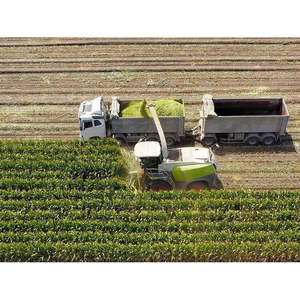 Zoomlion รถเกี่ยวข้าว260hp ขนาดเล็กรถเก็บเกี่ยวแบบใหม่สภาพการใช้งานสำหรับฟาร์มข้าวโพดข้าวสารสกัดจากถั่วเหลืองเครื่องยนต์แกน - Product Image 1