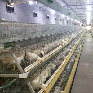 30年の工場供給3層120鳥鶏ケージの構築方法