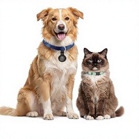 Rastreador GPS para Perros, Collar Inteligente con Localización en Tiempo Real, Sin Cuota Mensual ni Tarjeta SIM, Funciona con IOS, Ultrafino, Resistente al Agua IP68