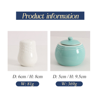 Pot en porcelaine moderne recyclable, design personnalisé, écologique, vente en gros