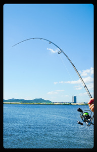 <span class=keywords><strong>Canne</strong></span> à pêche MISTER LURE 2,1m~3,6m MH/H 2/3 sections pour <span class=keywords><strong>brochet</strong></span>, eau salée, fabrication professionnelle, <span class=keywords><strong>canne</strong></span> de lancer pour bateau - Product Image 4