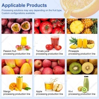 Ligne complète de production de jus d'ananas, de banane et de calamansi à petite échelle, usine de transformation de fruits de la passion et de mangues, coût Chine
