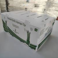 Boîte à asperges en plastique ondulé PP, pliable, ventilée, pour l'emballage de légumes frais, destinée au transport en chaîne du froid