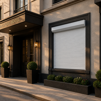 Porte de garage enroulable de style moderne pour villa résidentielle, prix d'usine, porte à enroulement de luxe pour villa