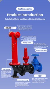 Vente directe usine de pompes incendie, vannes anti-retour et vannes à opercule SQS100-1.6 – Conception personnalisable, solutions sur mesure répondant aux spécifications - Product Image 3
