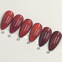 Bouteille OEM 1 kg diamant rubis rouge Ensemble de vernis gel pour les yeux de chat 6 couleurs Vernis à ongles gel pour les yeux de chat Échantillon gratuit de gel de marque privée