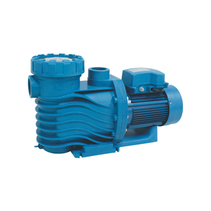 <strong>Variable</strong> Speed Circulating Electric Swimming <strong>Pool</strong> Filtration <strong>Pump</strong> for Sea Use <strong>Pool</strong> <strong>Pump</strong> - Product Image 3