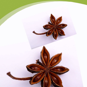 Anís Estrellado al por Mayor <span class=keywords><strong>con</strong></span> Tallos, Piezas Secas, Especia Aromática China para Cocinar, Se Acepta OEM - Product Image 2