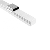 Profilé en aluminium décoratif pour éclairage linéaire LED anodisé argenté, pour cour - sur mesure, couloir d'hôtel, découpe sur mesure