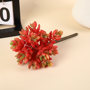 Succulente <span class=keywords><strong>Artificiali</strong></span> Fai-da-te, Jacinthe Estetiche, Decorazioni da Giardino, Sfondo per Matrimoni, Succulente e <span class=keywords><strong>Cactus</strong></span> <span class=keywords><strong>Artificiali</strong></span> Pendenti - Product Image 2