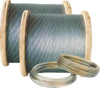 Alambre de Acero Galvanizado 7/1.04mm 7/1.57mm 3/16 Pulgadas para Soporte de Invernaderos, Suministro a Colombia y Ecuador