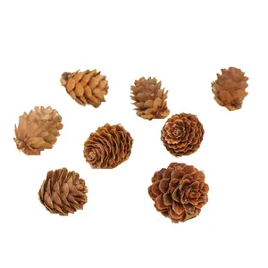 Dried Natural Pinecones Christmas Tree Ornaments Accessories Pine Cone For Decoration