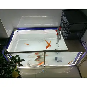 Einseitiges klares Fenster Transparentes Aquarium LED-Beleuchtung Tropisches Aquarium