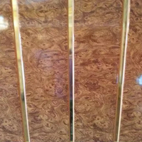 Panneau Mural et de Plafond en PVC de Fabrication Chinoise avec Impression Ligne Argentée, Rainure Centrale et Forme de Bande Perforée pour Décoration Intérieure