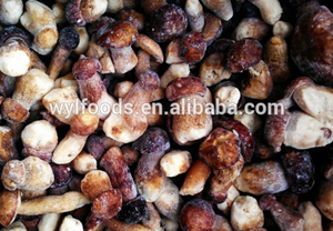 Mùa mới Hoang Dã porcini iqf Nấm Đông lạnh <span class=keywords><strong>boletus</strong></span> <span class=keywords><strong>edulis</strong></span> toàn bộ khối - Product Image 6