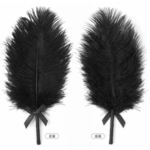 Jouets sexuels pour couples SM, jeux de rôle, flirt, taquinerie, bâtonnet à plumes, fessée, stimulation, taquinerie - Product Image 2
