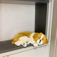 Poupée de simulation de chien en peluche personnalisée jouet pour enfants poupée Garfield armoire de voiture Tv chat suspendu en peluche ornement chien endormi poupée