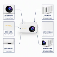 Mini projecteur de dessins animés pour enfants, portable, LED 1080P, 50 lumens ANSI, entrée USB, 24 à 100 pouces, pour films en famille avant le coucher