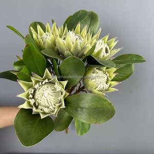 Flores artificiales populares Protea de tallo grande flocado Protea flor para decoraciones del hogar del banquete de boda - Product Image 5