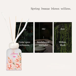 <span class=keywords><strong>Perfume</strong></span> de aceite esencial de fragancia para el hogar de lujo de 100ml, juego de difusor de caña de botella de vidrio redondo plano esmerilado decorativo - Product Image 6