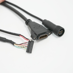 工場カスタム銅芯ワイヤーハーネスDupont 2.0 2*9PIN + 防水2PIN PH2.0コンボケーブル（産業機械電子機器用） - Product Image 3