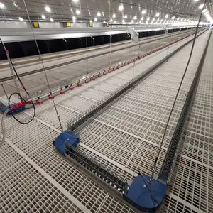 Mesin Sistem Pemeliharaan Peternakan Unggas, Peralatan Jalur Makan Ternak Otomatis Ayam