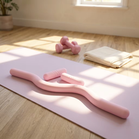 Ensemble d'haltères en silicone colorés, poids personnalisés pour la maison, le Pilates et l'entraînement complet du corps