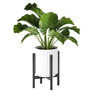 Venta al por mayor sala de estar de metal plantas en maceta hierro organizar estante escalable esquina planta soporte estante olla Tanaman interior soporte de almacenamiento - Product Image 6