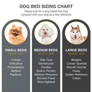 Sofá cama para perros, muebles de lujo, cajas para perros, venta al por mayor, China - Product Image 6