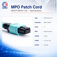 KEXINT MPO/F-MPO/F kualitas tinggi 12 Cores Multimode OM3 tipe B disesuaikan 1M 10M 20M kabel Patch MPO serat optik MTP