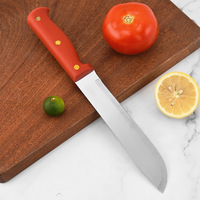 Hete Verkoop Kwaliteit Plastic Kleurrijk Handvat Rvs Fruit Steak Mes