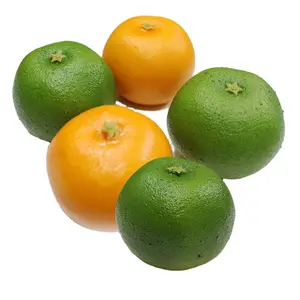 high quality natural shape decorative artificial orange fruit - artificial plant