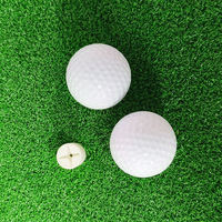 Pelota de Golf de Dos Piezas de Goma Personalizada al por Mayor, Diseño Flotante, Cubierta Suave, Alta Visibilidad, Ecológica, para Práctica