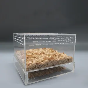 Transparente Acryl Display Insekten box Brotwurm Aufzucht box Live Wurm Kunststoff box für Wurm