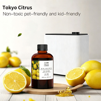 Huile parfumée aux agrumes de Tokyo pour diffuseur d'arômes, huile essentielle en vrac 500ml 5L 25L, fabricant de parfums personnalisés OEM