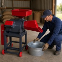 Nouvelle Machine à Pulper les Fourrages Type 300, Broyeur d'Herbe Double Usage Humide/Sèche en Acier Inoxydable, Haute Productivité pour l'Élevage et le Maïs