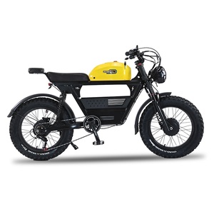 Bicicleta Eléctrica Akez de 20 Pulgadas, Alta Potencia, 48v 2000w, Motor Dual, Largo Alcance, para Adultos, Neumáticos Anchos, Deportiva, de Montaña - Product Image 3