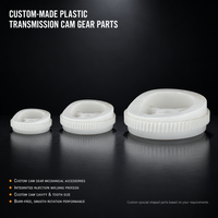 Engrenage à came en plastique sur mesure, usinage mécanique, OEM ODM, moulage par injection non standard, faible friction, résistant à l'usure, ISO9001