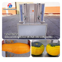 Industriële elektrische fruit- en groenteschilmachine met aangepaste rotatie