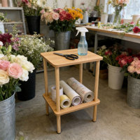 Table d'appoint compacte avec étagère de rangement et pieds en bois massif pour petits espaces, chambre à coucher, salon