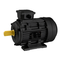 Série YE3 1450 tr/min 380V Ac Induction IE3 3kw 4kw 5.5kw Moteurs électriques triphasés