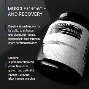 Boisson en Poudre de Monohydrate de Créatine Pure OEM ODM pour Gain Musculaire et Force Supplément de Protéine de Créatine - Product Image 5