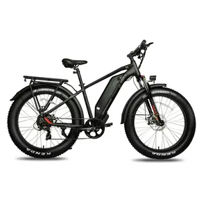 Электрический горный велосипед с толстыми шинами, 48 В, 500 Вт, 750 Вт, 26 дюймов, съемный аккумулятор для большого радиуса действия, электровелосипед