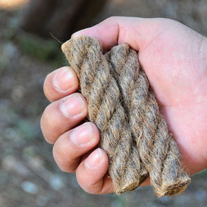 Allume-feu extérieur coupe-vent Wonder Survival Fire Starter pour allumer le feu dans la corde sauvage - Product Image 4