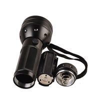 Taches d'urine de chien Punaise de lit Batterie AAA Torche lumineuse Détecteur ultraviolet 365nm Aluminium 51 LEDs Lampe de poche UV