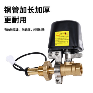 Gas Shut Off Valve 1/2 In Electric Solenoid Controller For Household Cylinder Safety Valve - Product Image 3