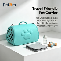Sac de transport pliable Petora en EVA avec trous et motif patte en relief, sac de voyage portable pour petits chats et chiots, idéal pour les promenades en extérieur